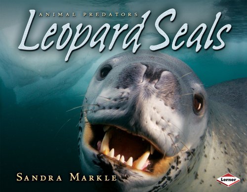 Leopard Seals (Animal Predators) [Library Binding]
