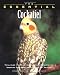 The Essential Cockatiel (Essential (Howell))