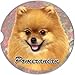 E&S Pets Pomeranian Coaster, 3