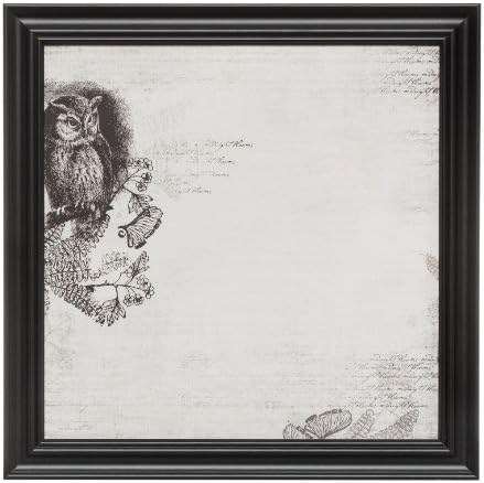 Magnetic and Dry Erase Memo Board - Decorative Framed Memo Board - Serene Owl Design - includes magnets