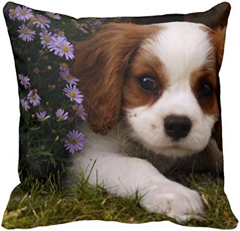 Decorative Cotton Canvas 18 X 18 Inch Cavalier King Charles Spaniel Puppy Behind Flowers Throw Pillowcase