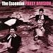 The Essential Pansy Division