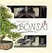 The Art of Bonsai (Lifestyle Box Sets)