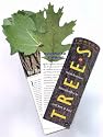 Fandex Family Field Guides: Trees
