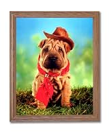 Shar Pei Puppy Dog Western Cowboy Hat Animal Home Decor Wall Picture Oak Framed Art Print