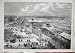 1870 ROYAL AGRICULTURAL SOCIETY SHOW OXFORD ANIMALS
