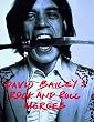 David Bailey's Rock and Roll Heroes