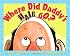 Where Did Daddy's Hair Go? (Picture Book)