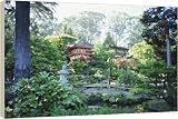 Box Canvas Print of The Japanese Tea Garden from Robert Harding