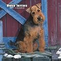 Welsh Terriers 2007 Calendar