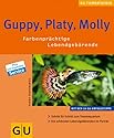 Guppy, Platy, Molly: Farbenprächtige Lebendgebärende