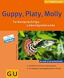 Guppy, Platy, Molly: Farbenpraechtige Lebendgebaerende