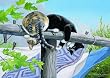 Clothesline Caper 500+pc Jigsaw Puzzle by Persis Clayton Weirs