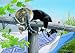 Clothesline Caper 500+pc Jigsaw Puzzle by Persis Clayton Weirs