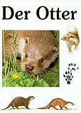 Image de Der Otter