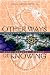Book Other Ways of Knowing: Recharting Our Future with Ageless Wisdom