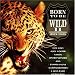 Search : Born to Be Wild, Vol. 2