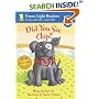 Did You See Chip? (Green Light Readers Level 2)