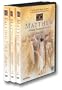Visual Bible: Book of Matthew with Bonus Video Falling Fire