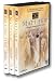 Search : Visual Bible: Book of Matthew with Bonus Video Falling Fire