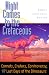 Books : Night Comes to the Cretaceous: Comets, Craters, Controversy, and the Last Days of the Dinosaurs