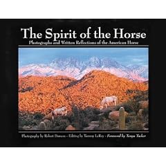 The Spirit of the Horse: Photographs and Written Reflections of the American Horse