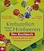 Suchen : Krebszellen mögen keine Himbeeren: Das Kochbuch: Schmackhafte Rezepte fürs Immunsystem -