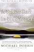 A Yellow Raft in Blue Water: A Novel