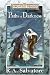 Path's of Darkness Collector's Edition
