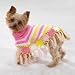 SMALL - Crocheted Doggy Shawl