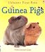 Guinea Pigs (First Pets)