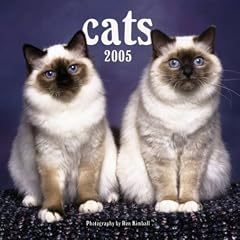 Cats Mini Wall calendar 2005