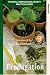 A Practical Guide To Propagation