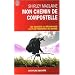 Mon chemin de Compostelle : Un voyage de l'esprit