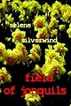 Field of Jonquils