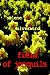 Book Field of Jonquils