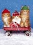 Three Kittens in Wagon (Holiday Boxed Cards)