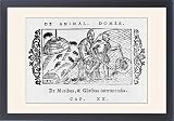 Framed Prints of Mice/dormice 1555 from Mary Evans
