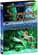 Swimming With Dolphins: Healers of the Sea