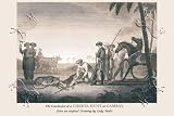 Art Poster, A Cheeta Hunt at Cambay - 27.5 x 18.75