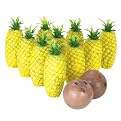 Island Bowling Set
