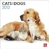 Cats & Dogs 2012 Square 12X12 Wall Calendar (Multilingual Edition)