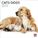 Cats & Dogs 2012 Square 12X12 Wall Calendar (Multilingual Edition)
