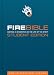 Fire Bible: New International Version