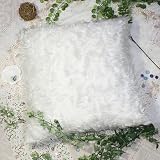 Bettino - [Plush White] Decorative Pillow Cushion / Floor Cushion (23.6 by 23.6 inches)