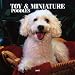 Toy And Miniature Poodles 2007 Calendar