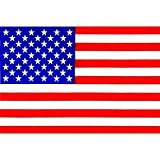Patriotic American Flag - 6 X 4 - Cling-On Window Decal