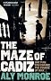 Maze of Cadiz: A Peter Cotton Book