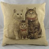 Cats Family Cushion