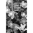 The Alaska-Yukon Wild Flowers Guide